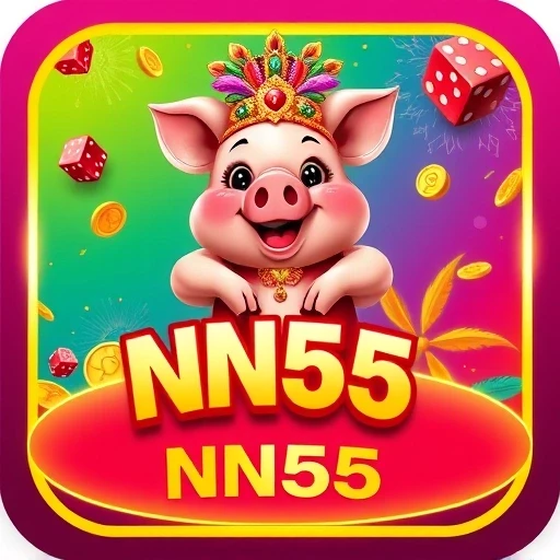 nn55.com